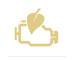 Engine Management / Emissions System - E-Type S1.5 2+2