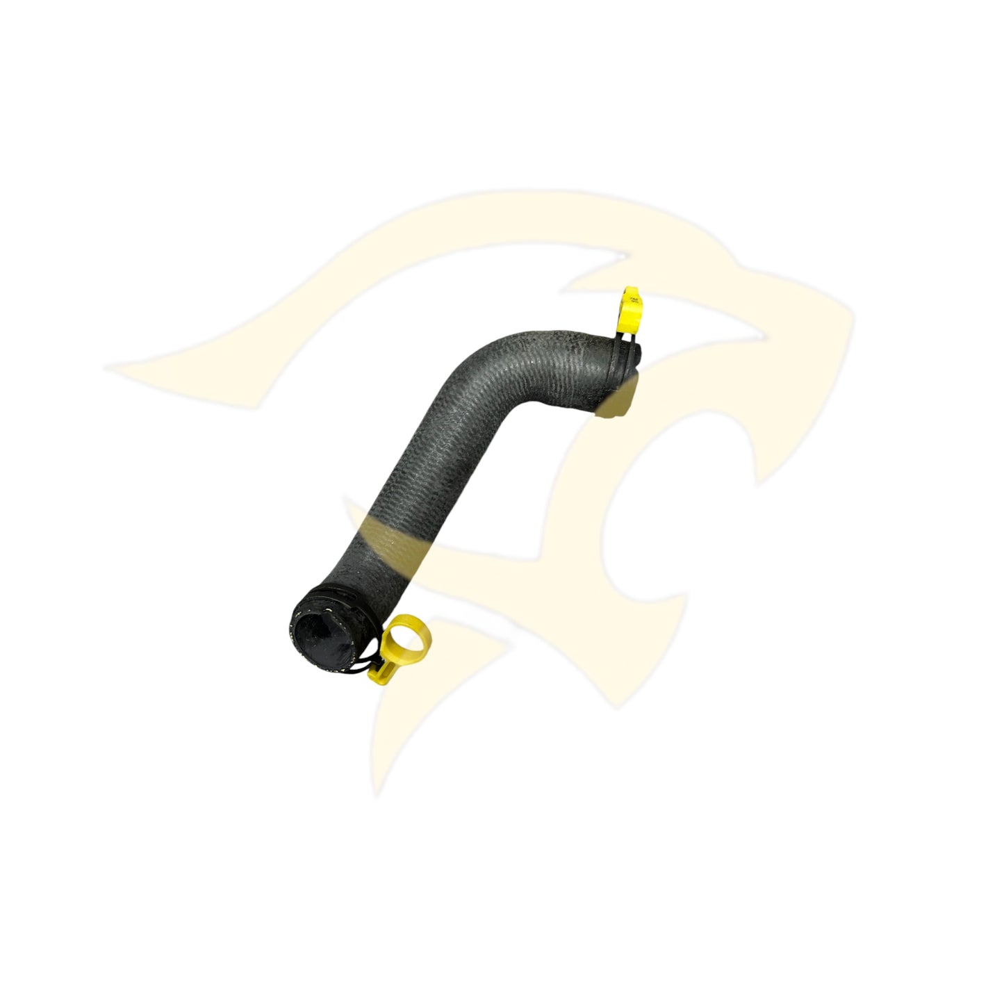 2.5L / 3.0L Bottom Radiator Hose - XR849444