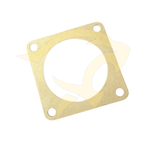 Water Pump Gasket - C21117